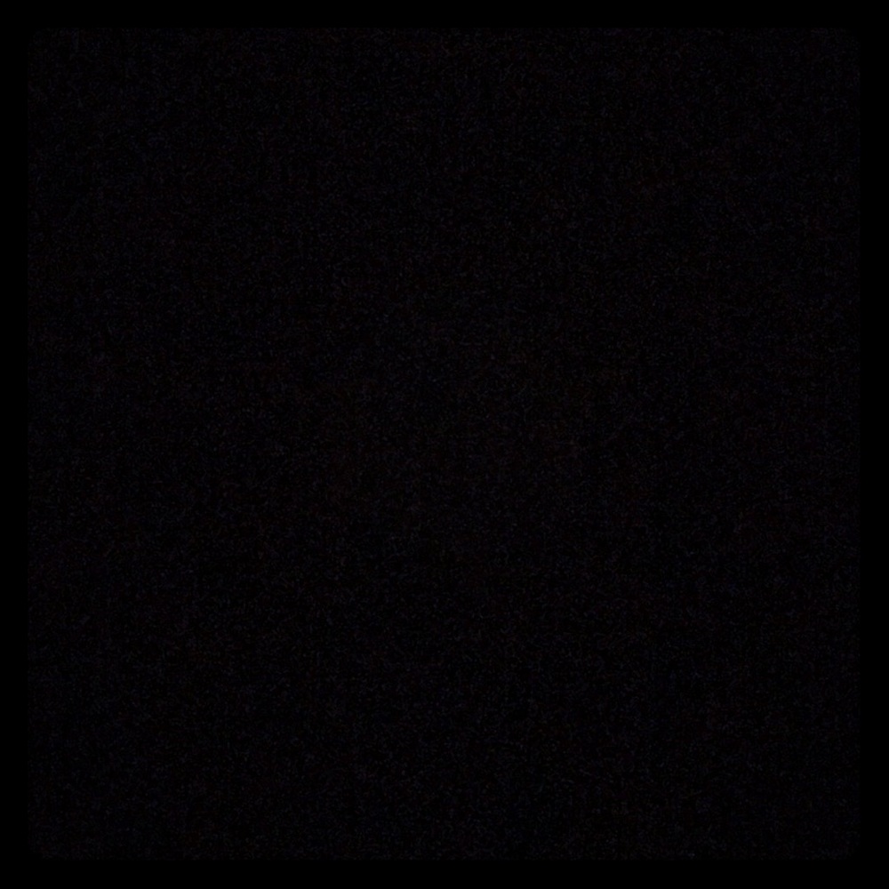 Meet your Posher, Reagan